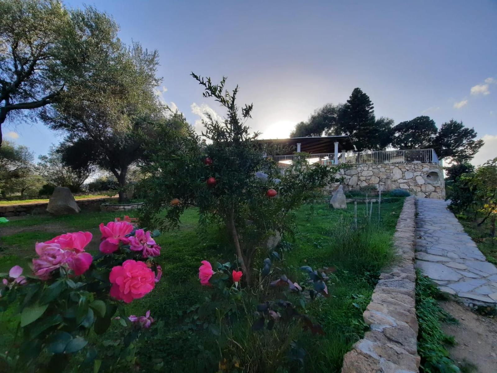 La Taerra Bed & Breakfast